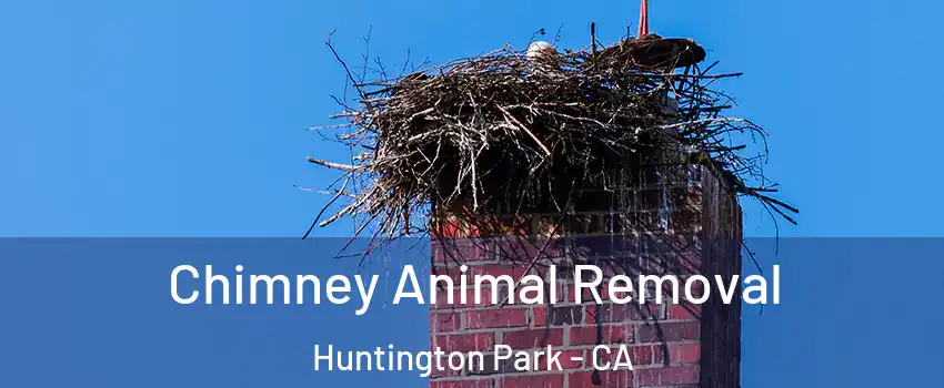 Chimney Animal Removal Huntington Park - CA