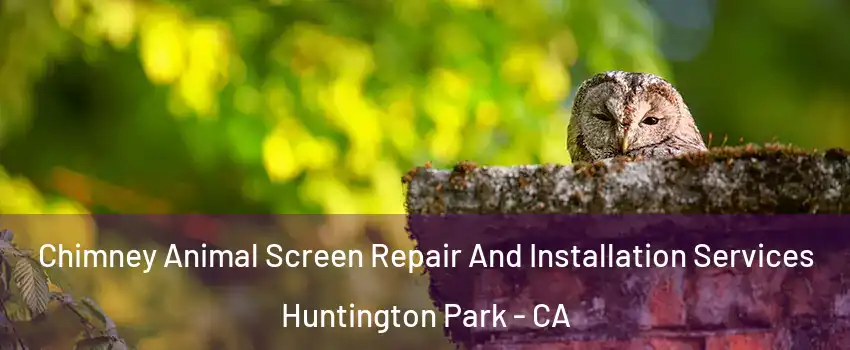  Chimney Animal Screen Repair And Installation Services Huntington Park - CA