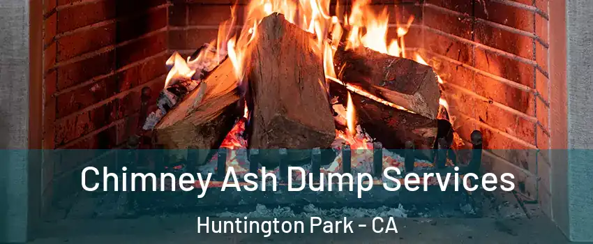  Chimney Ash Dump Services Huntington Park - CA