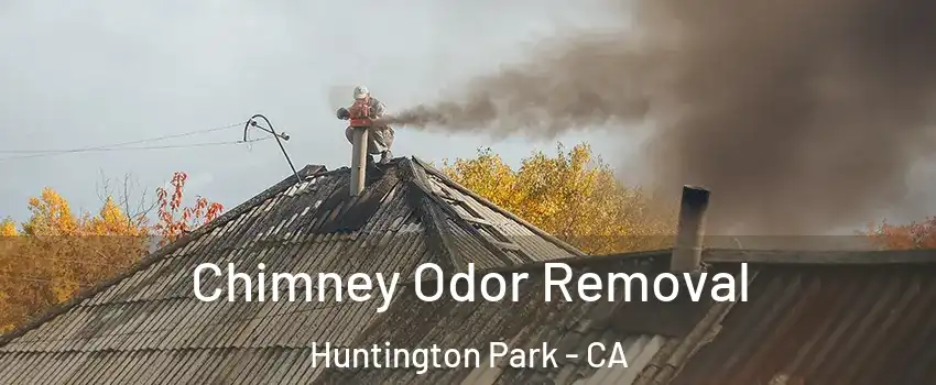  Chimney Odor Removal Huntington Park - CA