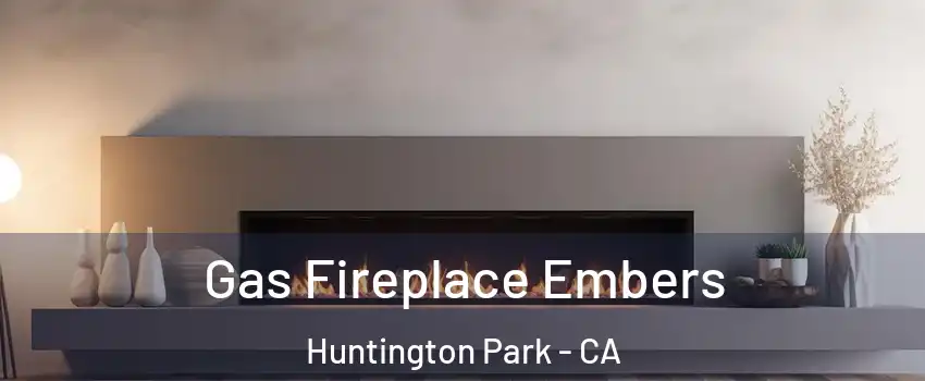  Gas Fireplace Embers Huntington Park - CA