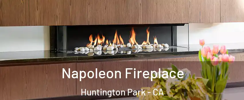  Napoleon Fireplace Huntington Park - CA